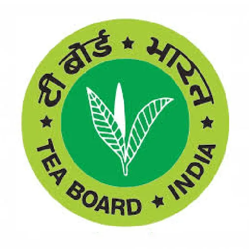 Certification 4